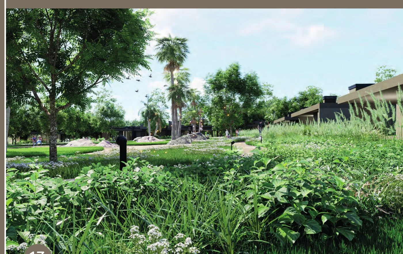 Parklandschap Oasis Obligado