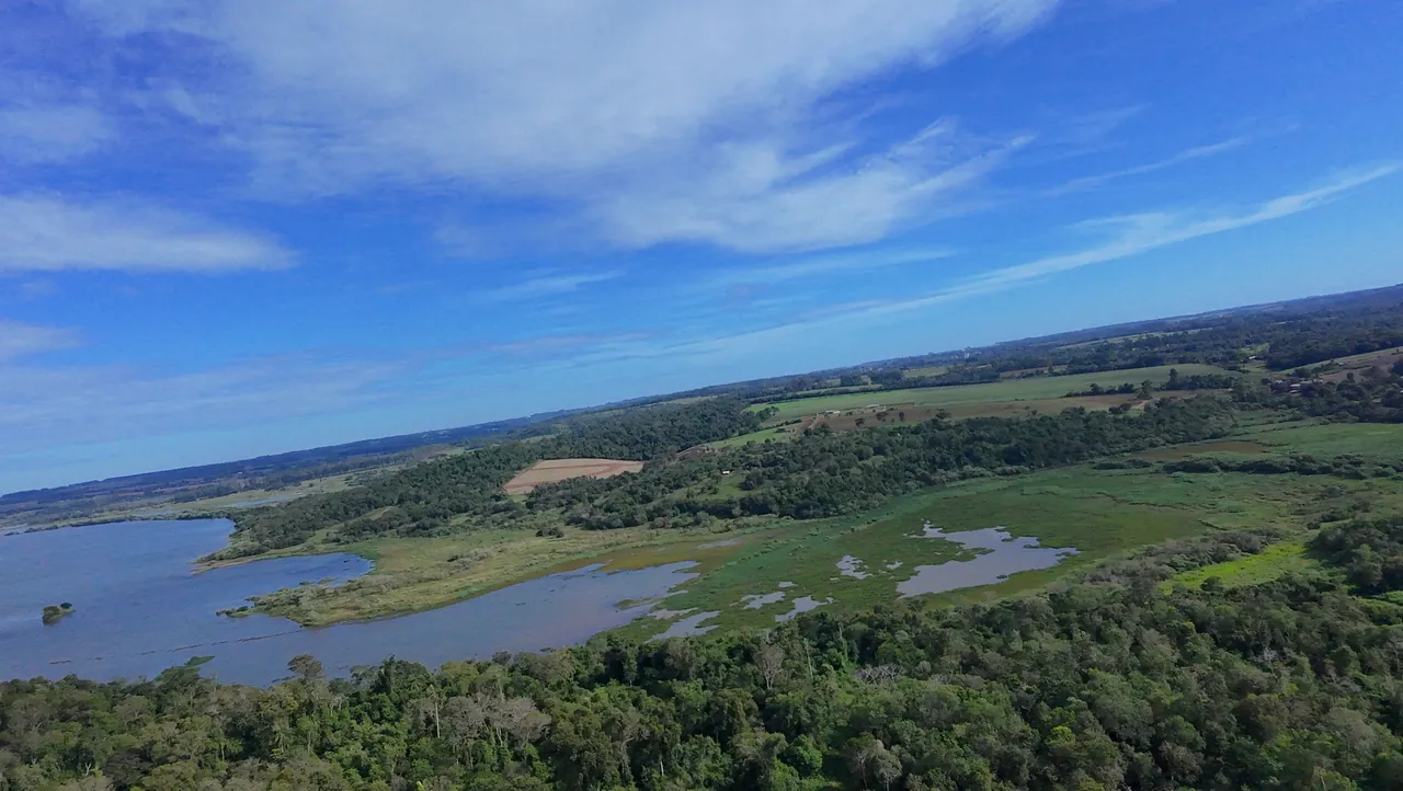 Groen landschap in Itapúa, Paraguay